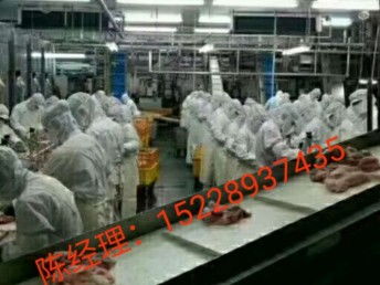 出國勞務 抓住國外雇主直招機遇，建筑工與工廠普工月薪高達3.5萬，天津移民與建筑工程新選擇